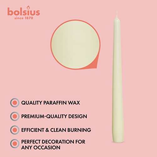 BOLSIUS Ivory Taper Candles - 10 Pack Unscented 10 Inch Dinner Candle Set - 8 Hours Burn Time - Premium European Quality - Smokeless and Dripless Household, Wedding, Party, and Home Décor Candlesticks