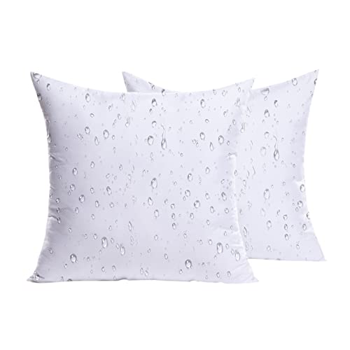 MIULEE Pack of 2 18x18 Outdoor Pillow Inserts, Outdoor Throw Pillows Water-Resistant Decorative Premium Square Pillow Stuffer Sham for Porch Swing Couch Sofa Cushion Patio Furniture