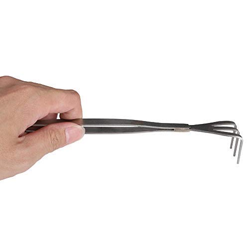 Fdit 2 in 1 Stainless Steel Bonsai Tools Gardening Tool Root Rake Tweezers for Bonsai Planter