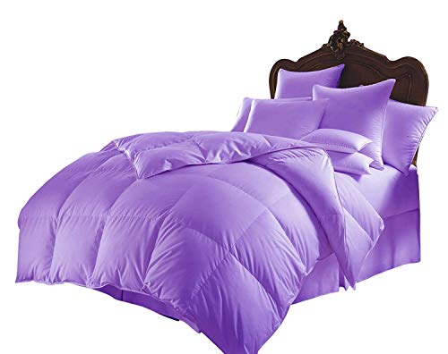 All Season Luxurious 800 Series,Luxury Goose Down Alternative Comforter, Full XL Size - Quilt 1 Pc Comforter -100% Egyptian Cotton Comforter, Hotel Quality 500 GSM,Lavender, (90"x90")