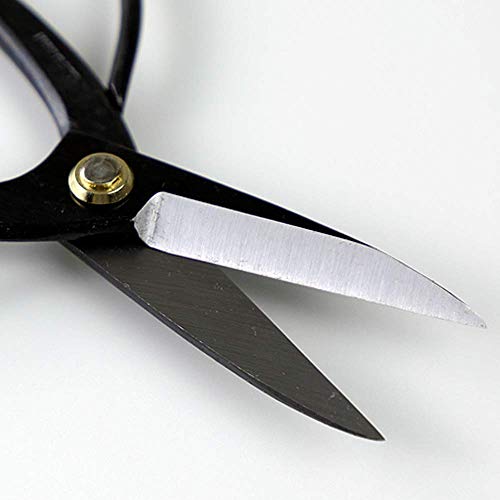 Wazakura Bonsai Scissors MADE IN JAPAN 7inch(180mm), Japanese Bonsai Garden Tools, Hasami Pruning Shears