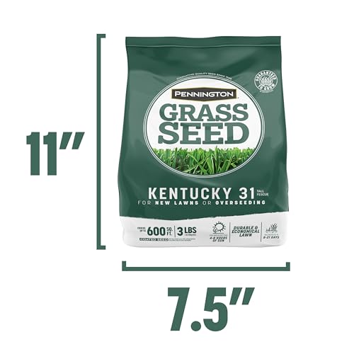 Pennington Kentucky 31 Tall Fescue Penkoted Grass Seed 3 lb, Green