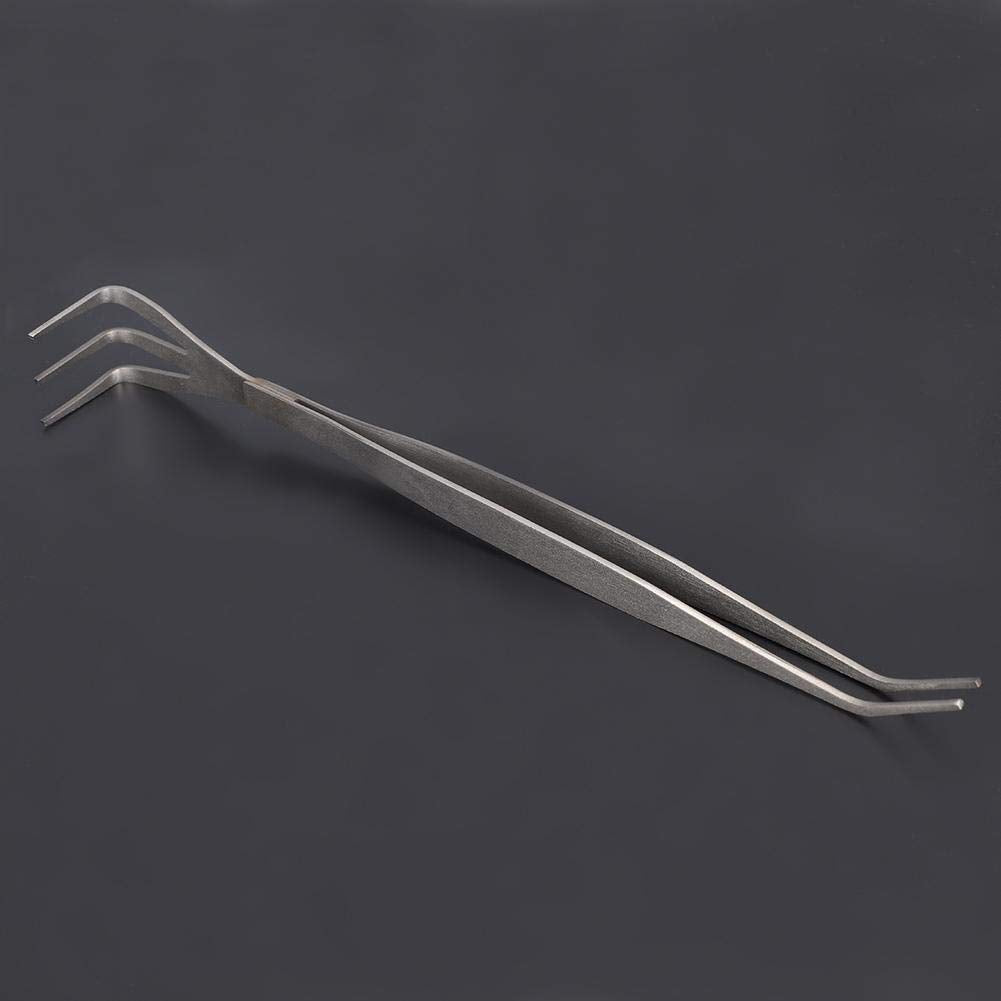 Fdit 2 in 1 Stainless Steel Bonsai Tools Gardening Tool Root Rake Tweezers for Bonsai Planter