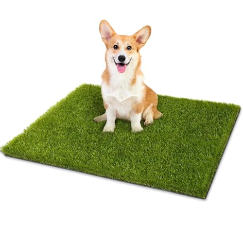 CooRug Artificial Grass, 30 x 18 Inches Fake Grass for Dogs, Reusable Dog Grass Pee Pads with Drainage Holes for Dog Potty Training Outdoor Indoor Door Mat Decoration