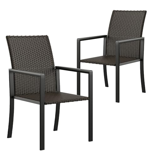 Farini Outdoor Dining Chairs Set of 2,Outdoor Wicker Dining Chairs with Armrests, Steel Frame for Patio, Deck, Garden, Yard