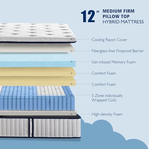 Zeelovtress Twin XL Mattress 12 Inch, Hybrid Medium Firm Spring Coil Foam Mattress in a Box, 5 Zone Individually Encased Pocket Coils for Back Pain Relief