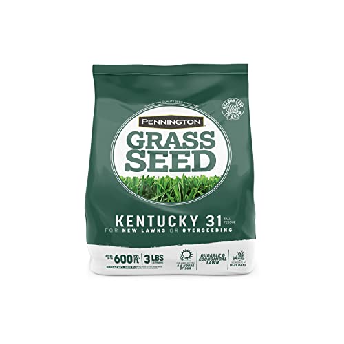 Pennington Kentucky 31 Tall Fescue Penkoted Grass Seed 3 lb, Green