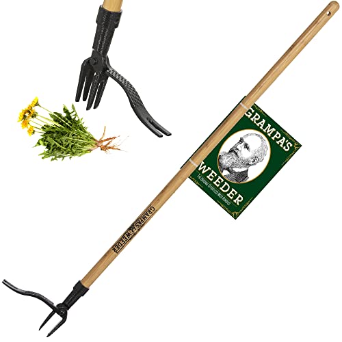 Grampa's Weeder - The Original Stand Up Weed Puller Tool with Long Handle - Made with Real Bamboo & 4-Claw Steel Head Design - Easily Remove Weeds Without Bending, Pulling, or Kneeling.