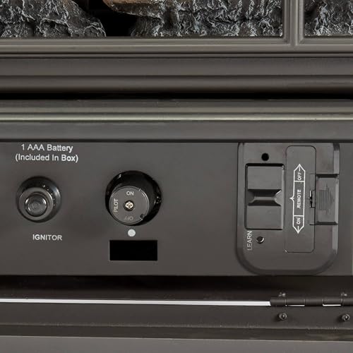 Bluegrass Living Panorama Vent Free Dual Fuel 3-Sided Gas Stove - 23,000 BTU, Remote Control, Black Finish - Model# BTSD23RT