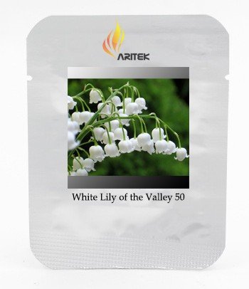 Heirloom White Lily of the Valley Convallaria majalis Perennial Flower Seeds, Professional Pack, 50 Seeds / Pack, Very Beautiful