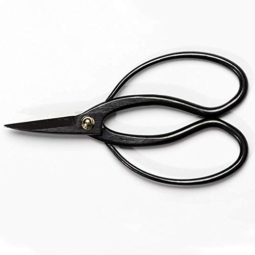 Wazakura Bonsai Scissors MADE IN JAPAN 7inch(180mm), Japanese Bonsai Garden Tools, Hasami Pruning Shears