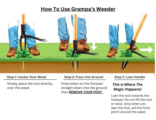 Grampa's Weeder - The Original Stand Up Weed Puller Tool with Long Handle - Made with Real Bamboo & 4-Claw Steel Head Design - Easily Remove Weeds Without Bending, Pulling, or Kneeling.