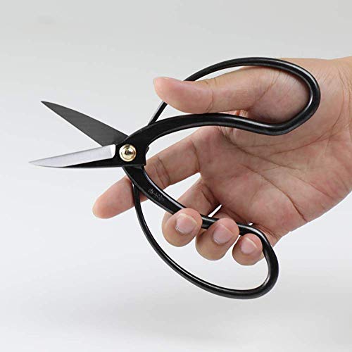 Wazakura Bonsai Scissors MADE IN JAPAN 7inch(180mm), Japanese Bonsai Garden Tools, Hasami Pruning Shears