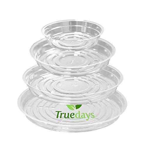 TRUEDAYS 20 Pack Plant Saucers (6 inch / 8inch / 10inch / 12inch) Clear Plant Saucers Flower Pot Tray Excellent for Indoor & Outdoor Plants
