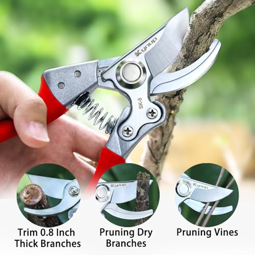 Kynup Pruning Shears for Gardening, Garden Hand Shears, Professional Bypass Pruner Hand Shears Heavy Duty, Pruners for Gardening, Garden Clippers, Hedge Shears, Garden Tools(Red)