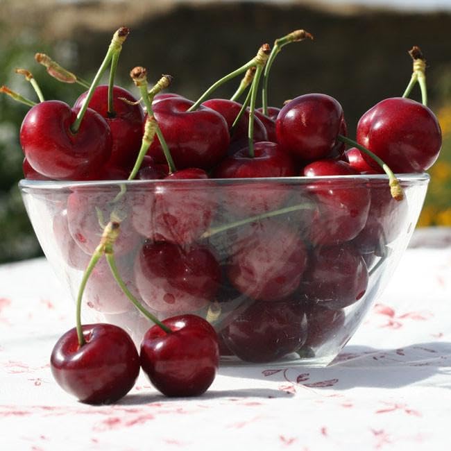 Mixed Fruit Seeds for Planting - 100 Grape 100 Apple 100 Kiwi 100 Cherimoya 10 Mulberry 20 Cherry - Fresh Fruit Seeds, Non GMO Seeds