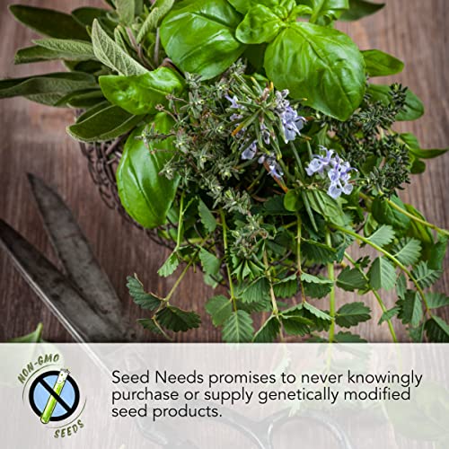 Seed Needs, 10,000+ Common Dandelion Herb Seeds for Planting (Taraxacum officinale) - Non-GMO - Bulk