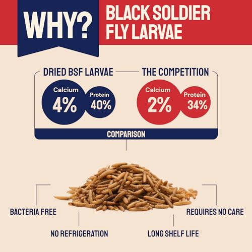 Hatortempt Dried Black Soldier Fly Larvae for Chickens 10LB – 100% Natural Non-GMO Bulk Chicken Feed – High Protein BSF Food with More Calcium Than Mealworms for Laying Hens, Ducks, Wild Birds, Quails