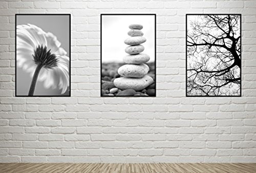 MCS Original Poster Frame 24x36 Black Lightweight Vertical & Horizontal Wall Hanging Large Picture Frame for Posters, Art Prints & Gallery Wall (6-Pack)