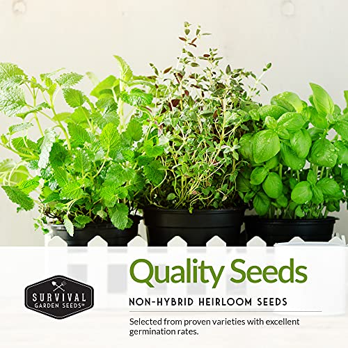 Indoor Garden Vegetables Hydroponic Apartment Garden - Non-GMO Heirloom Vegetable Varieties for Small-Space Patio Garden - Hydroponics-Friendly - Plant Indoors or Outdoors - Survival Garden Seeds