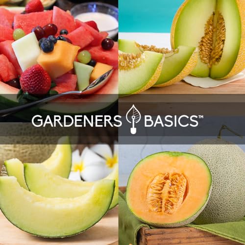 Gardeners Basics, Melon Fruit Seeds for Planting Home Garden 5 Variety Packs - Hales Best Cantaloupe, Crimson Sweet Watermelon, Yellow Canary Melon, Green Flesh Honeydew Melon, Sugar Baby Watermelon