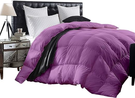 AMAY 100% Egyptian Cotton 3 Piece-All-Season Down Alternative Comforter Set Box Stitched 800 Thread-Count 100 GSM - Full XL Lavender Solid