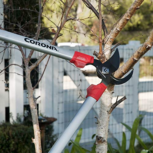 Corona Tools | 30-inch Branch Cutter ComfortGEL Bypass Loppers | Tree Trimmer Cuts Branches up to 1 ½-inches in Diameter | SL 3264