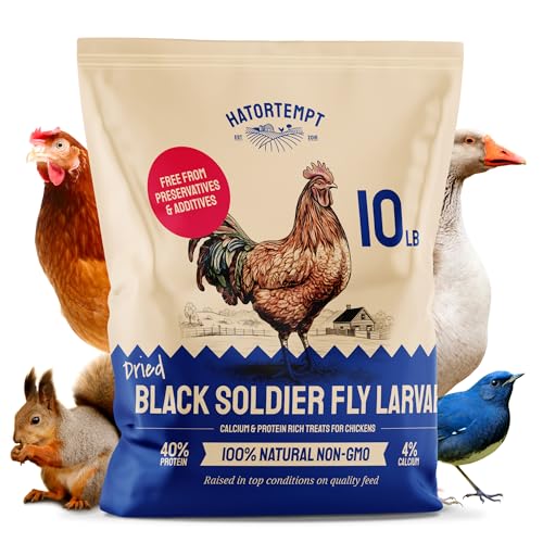 Hatortempt Dried Black Soldier Fly Larvae for Chickens 10LB – 100% Natural Non-GMO Bulk Chicken Feed – High Protein BSF Food with More Calcium Than Mealworms for Laying Hens, Ducks, Wild Birds, Quails