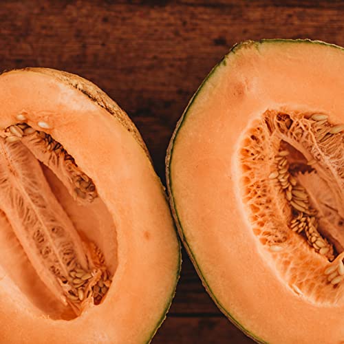 Pride of Wisconsin Muskmelon - 25 Seeds - Heirloom Cantaloupe Variety, Sweet Old-Fashioned Cantalope Flavor, Non-GMO Fruit & Vegetable Seeds for Planting Outdoors in The Garden, Thresh Seed Company
