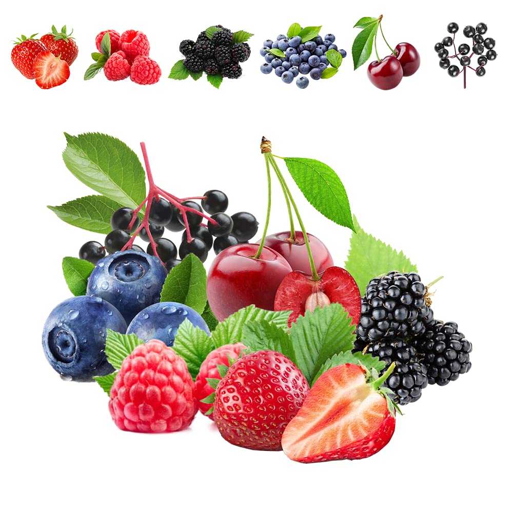 1100pcs Mixed Fruit Seeds Berry Seeds for Planting 200pcs Strawberry 200pcs Raspberry 200pcs Mulberry 200pcs Blueberry 200pcs Elderberry 10pcs Cherry - Individually Packaged