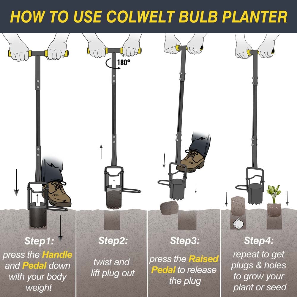 Colwelt Bulb Planter Tool Long Handle, Serrated Base Gardening Bulb Transplanter with Soft Grip, Heavy Duty Long Handled Bulb Planter Sod Plugger for Digging Holes to Plant Tulips, Iris, Daffodils