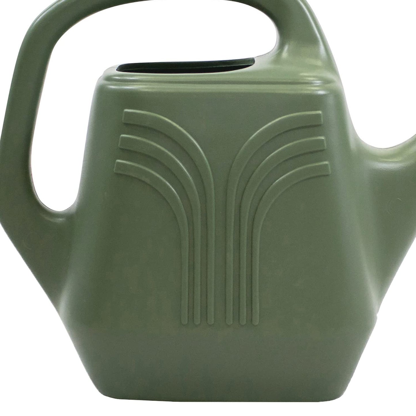 Bloem Promo Watering Can: 2 Gallon Capacity - Living Green - Durable Resin, Removable Nozzle Spout, Two Handles, Wide Mouth, for Indoor and Outdoor Use, Gardening