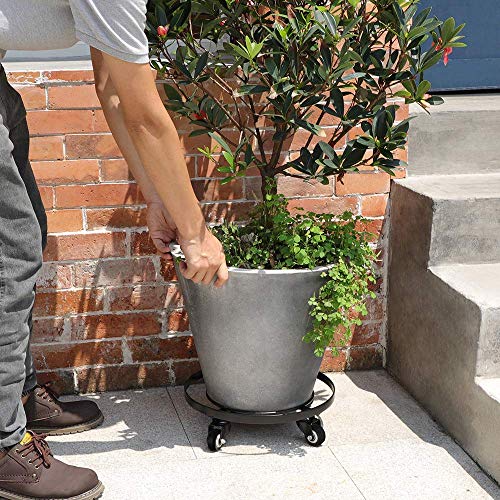 AMAGABELI GARDEN & HOME Plant Caddy with Wheels Heavy Duty 14“ 2 Pack Rolling Plant Stand Plant Dolly Iron Wheeled Lockable Casters Round Pot Mover Rollers Indoor Outdoor Planter Trolley Metal