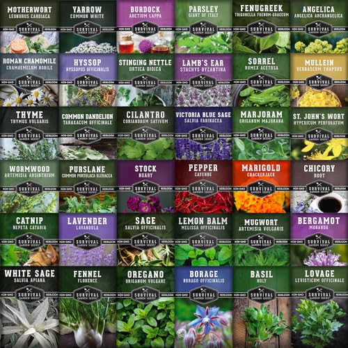 Ultimate Medicinal Herbs Collection - 36 Variety Pack of Herb Seeds for Growing Essential Healing Plants - Mixed Assortment for Homesteaders - Non-GMO Heirloom Varieties - Survival Garden Seeds