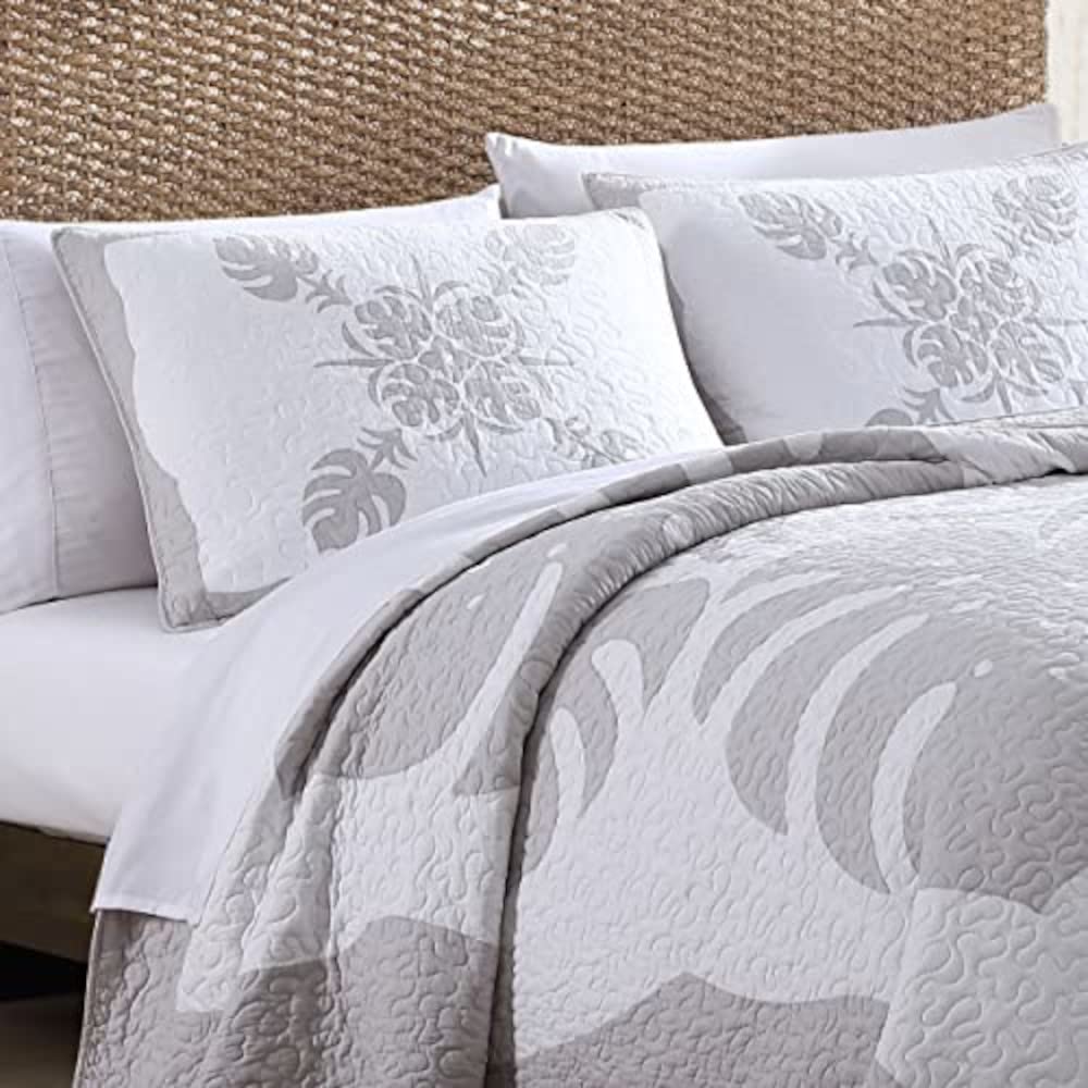 Tommy Bahama - Queen Quilt, Reversible Cotton Bedding, Floral Home Decor for All Seasons, Oeko-Tex Certified (Molokai Grey, Queen)