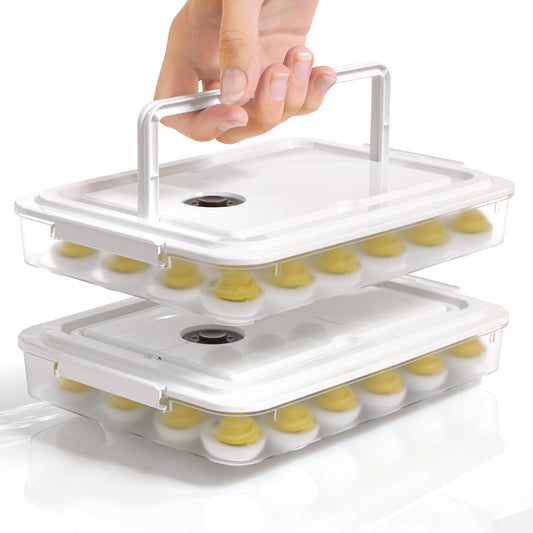 Newness Deviled Egg Containers with Lid, (Set of 2), Plastic Deviled Egg Carrier with Handle for 48 Eggs, Clear Storage Devil Egg Platter, Fridge Portable Egg Tray, Perfect for Picnic and Party