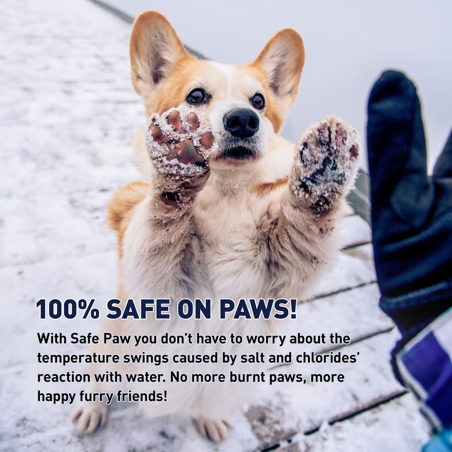 Safe Paw, Dog/Child/Pet Safe 100% Salt and Chloride free with Traction Agent, Non-Toxic, Fast Acting, Lasts 3X Longer