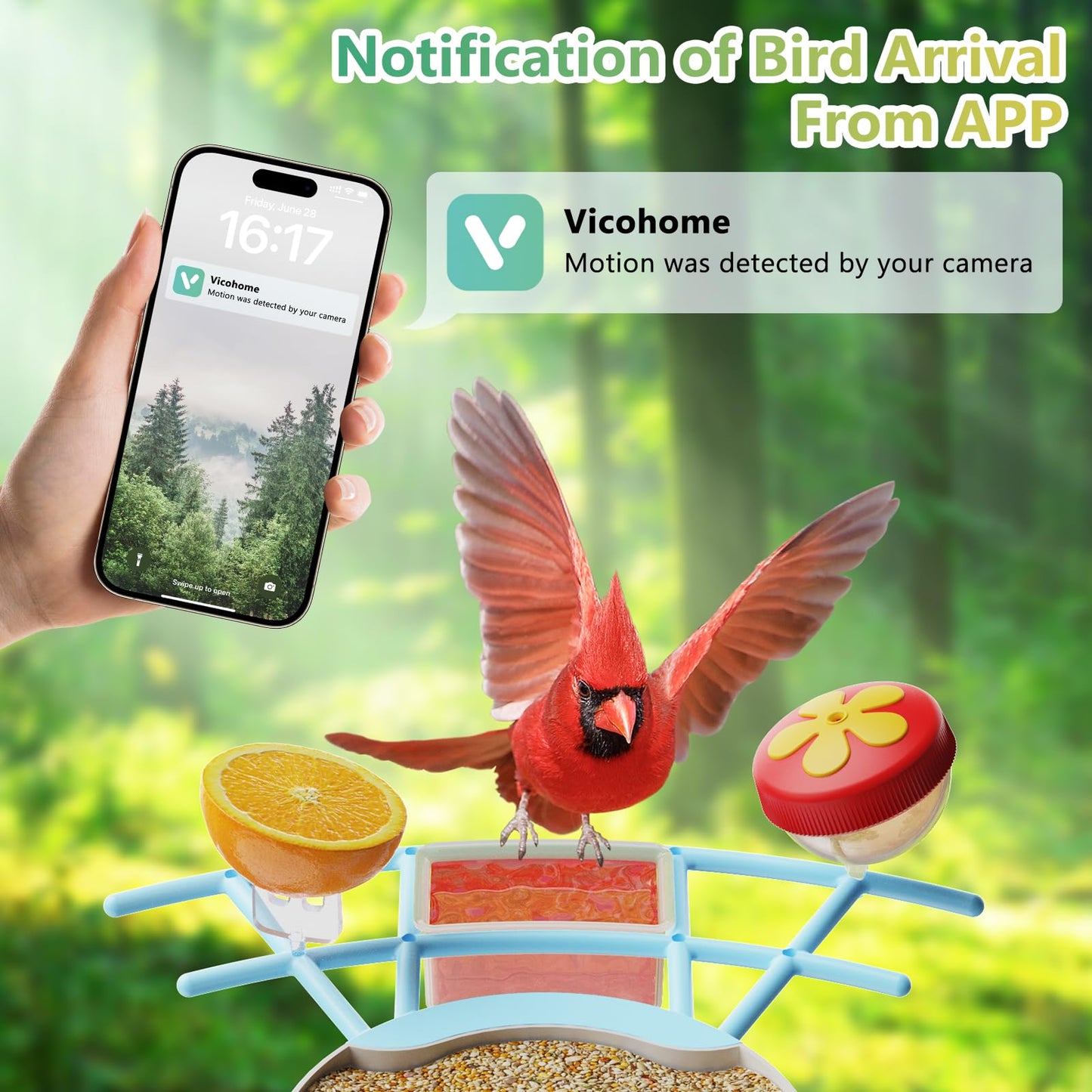 Vingtok Smart Bird Feeder with Camera, Outdoor Bird Watching Camera with Solar Powered, Full HD AI Identify Camera DIY Wild Bird Feeder, Auto Capture Bird Video& Real Time Views for Bird Lovers