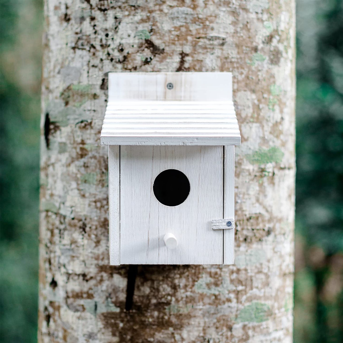 NATUREYLWL Bird House for Outside with Pole for Finch Bluebird Cardinals Garden Wooden Hanging Birdhouses