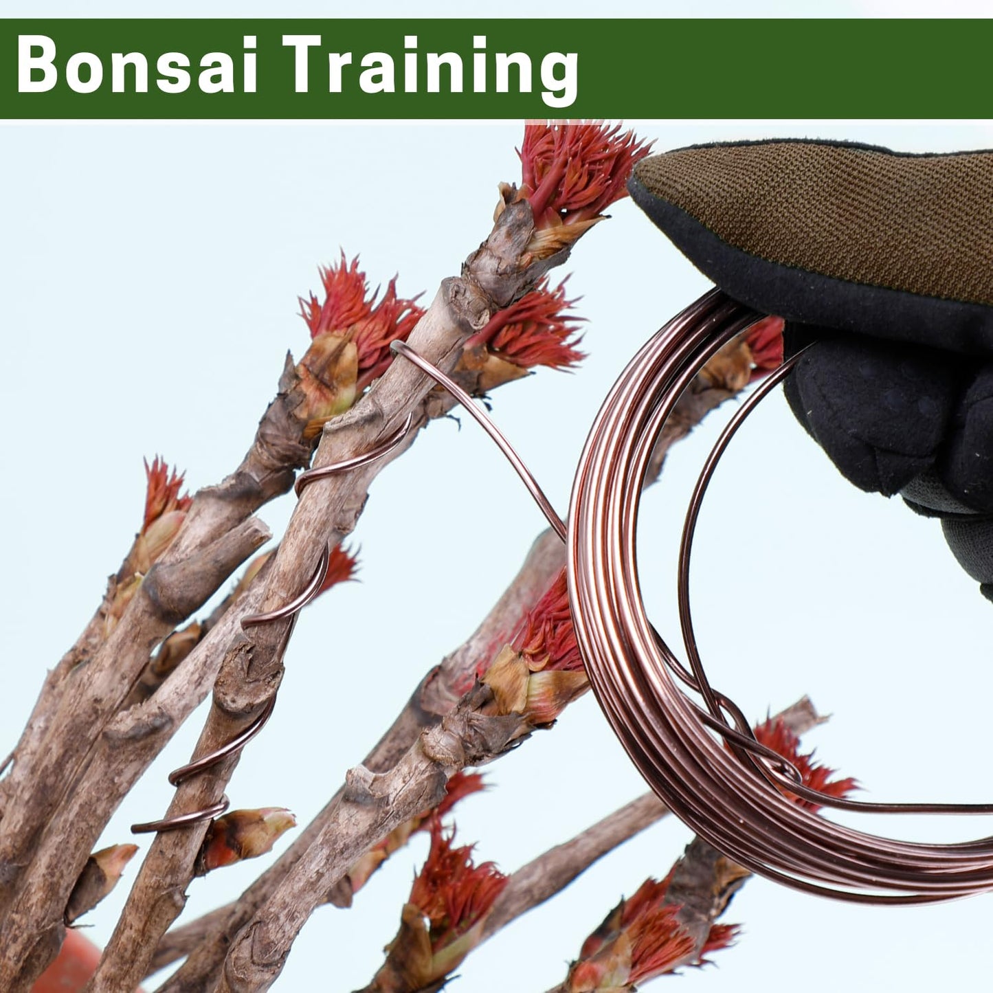 Bonsai Training Wire Set of 4 - Total 128 Feet(32 Feet Each Size) 3 Size - 1.0MM,1.5MM,2.0MM - Corrosion and Rust Resistant