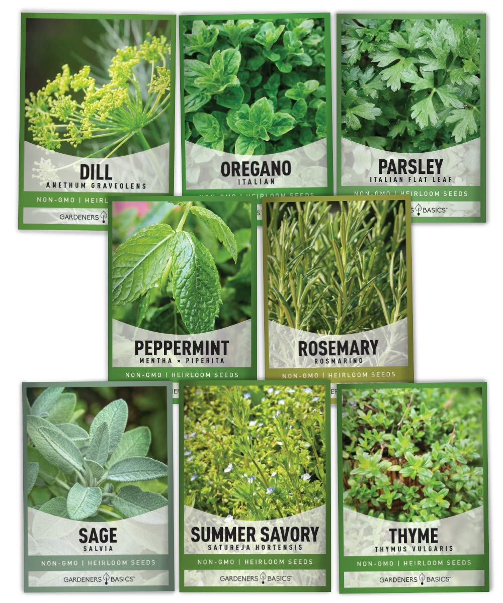 Gardeners Basics, 15 Herb Seeds For Planting Varieties Heirloom Non-GMO 5200+ Seeds Indoors, Hydroponics, Outdoors - Basil, Catnip, Chive, Cilantro, Oregano, Parsley, Peppermint, Rosemary and More