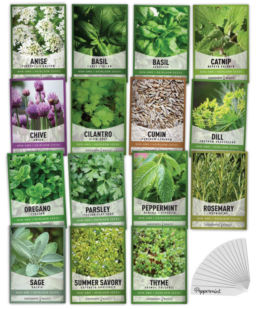 Gardeners Basics, 15 Herb Seeds For Planting Varieties Heirloom Non-GMO 5200+ Seeds Indoors, Hydroponics, Outdoors - Basil, Catnip, Chive, Cilantro, Oregano, Parsley, Peppermint, Rosemary and More