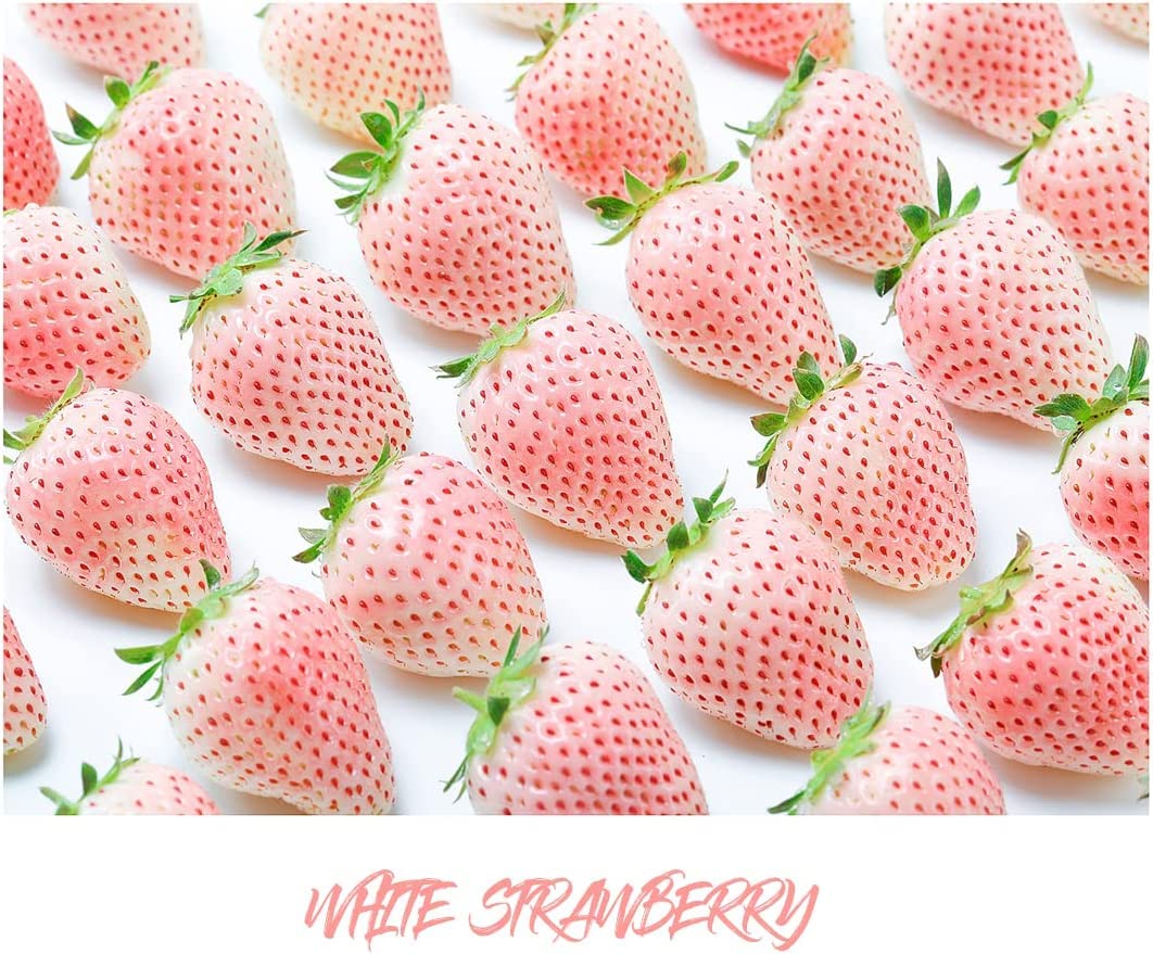 400+ Mix Strawberry Seeds for Planting - Heirloom Non-GMO Red Yellow Blue White Climbing Strawberry - Everbearing Fruit Plant Home Garden Sweet and Delicious