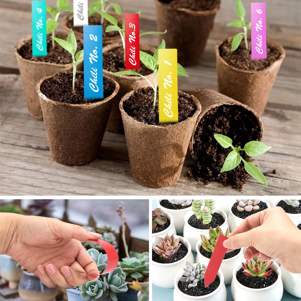 300 Pcs Plant Labels ，6 Colors 4 Inch Plastic Plant Name Tags for Seedlings Garden Labels Markers Nursery Waterproof Plant Tags Seed Labels Plant Markers (Multicolored（300pcs))