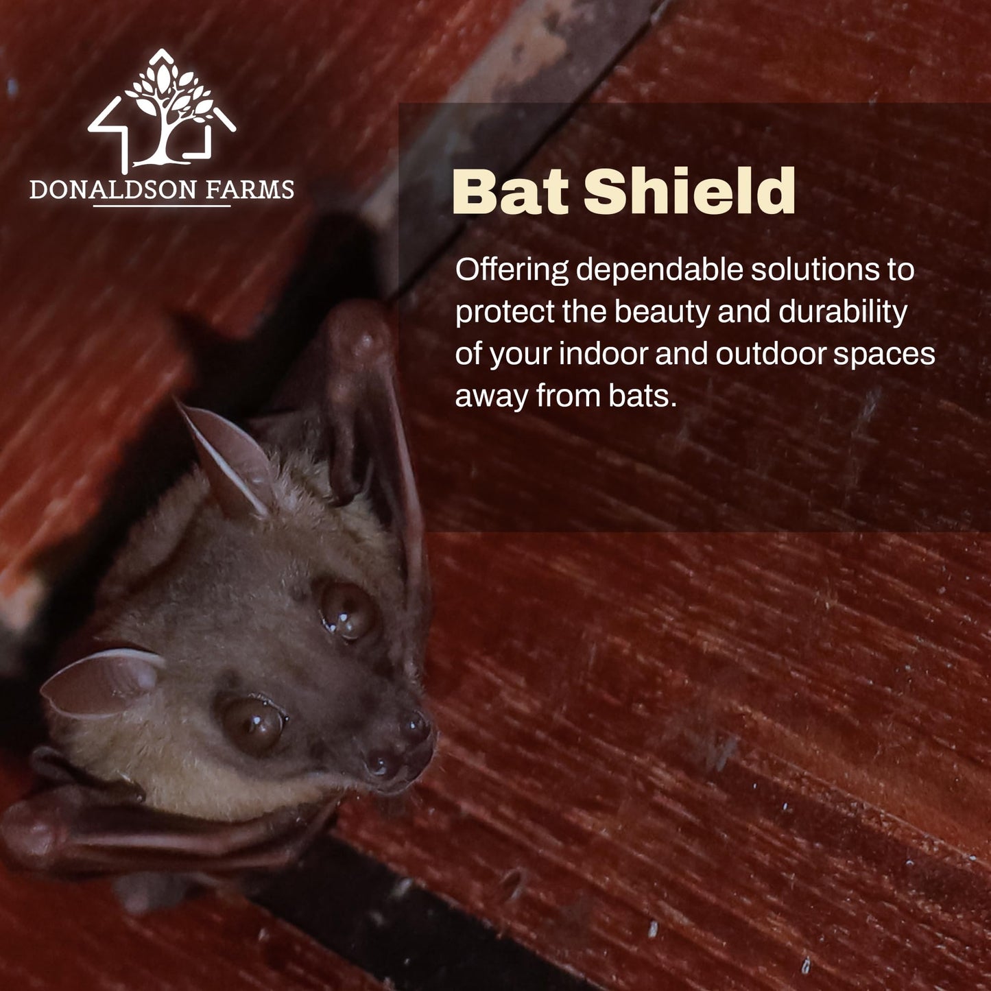 Donaldson Farms Bat Repellent Spray - Drive Bats Away from Nesting Using Our Bat Repellent - Keep Bats Away from Your Home, 16oz