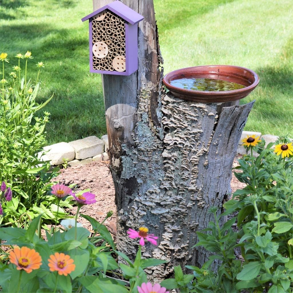 Nature's Way Bird Products PWH1-B Purple Bee House