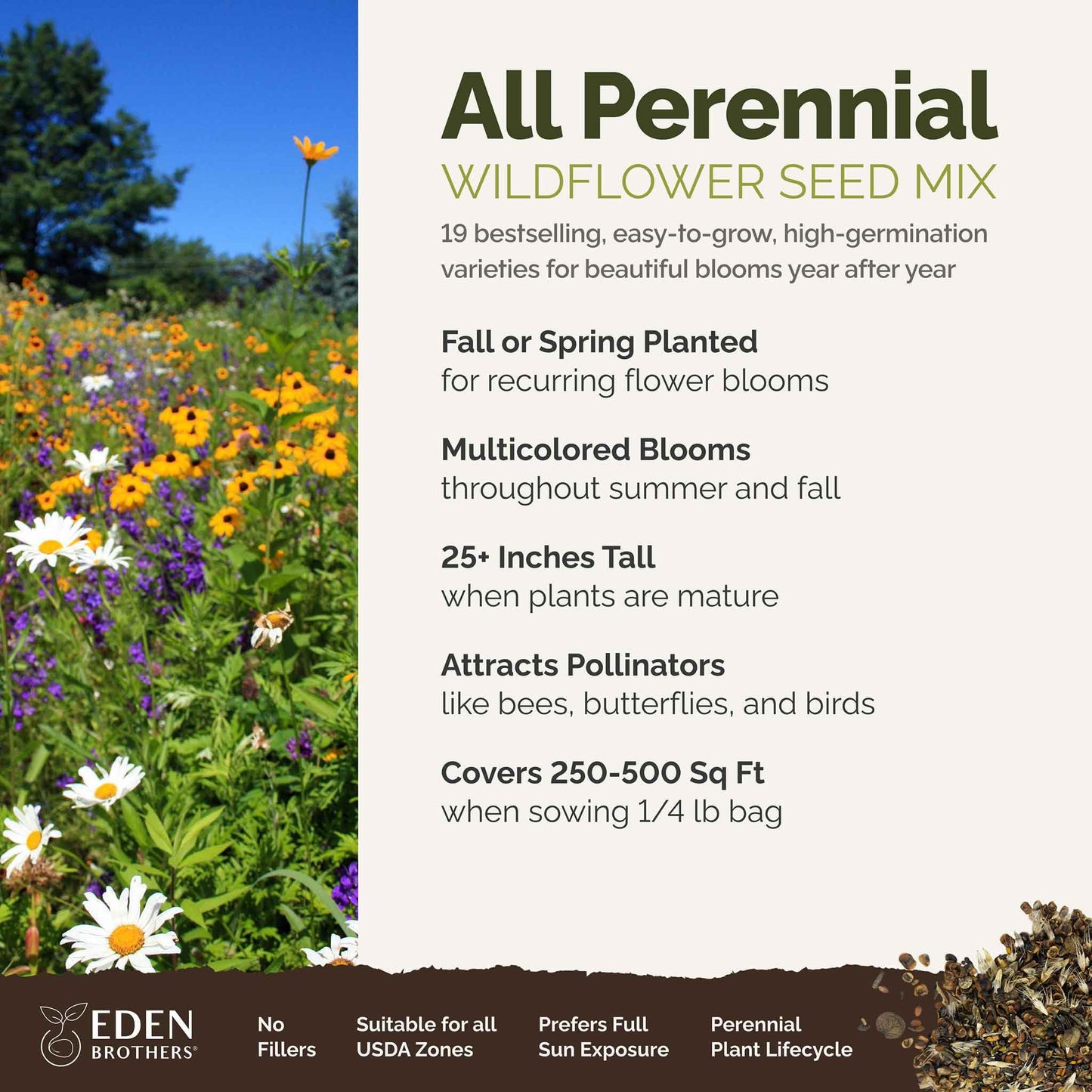 Eden Brothers All Perennial Wildflower Mixed Seeds for Planting, 1/4 lb, 120,000+ Seeds with Lupine, Shasta Daisy | Attracts Pollinators, Plant in Spring or Fall, Zones 3, 4, 5, 6, 7, 8, 9, 10