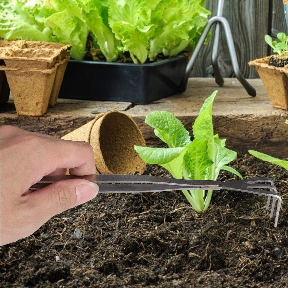 Fdit 2 in 1 Stainless Steel Bonsai Tools Gardening Tool Root Rake Tweezers for Bonsai Planter