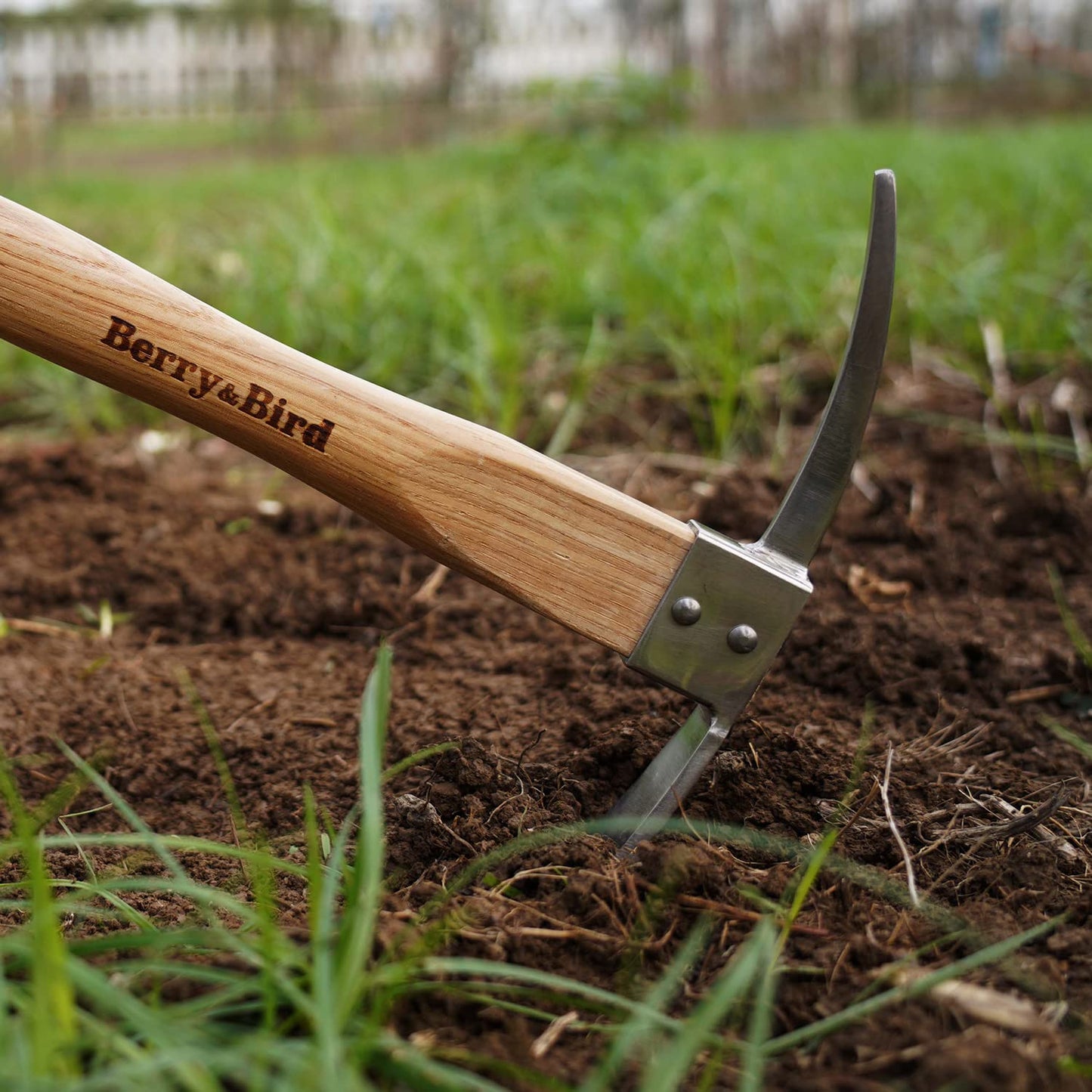 Berry&Bird Gardening Pick Axes, Stainless Steel Pickaxe Mattock Hoe with Wooden Handle, Heavy Duty Pick Axe Hand Tool for Transplanting Digging Planting Loosening Soil Camping or Prospecting