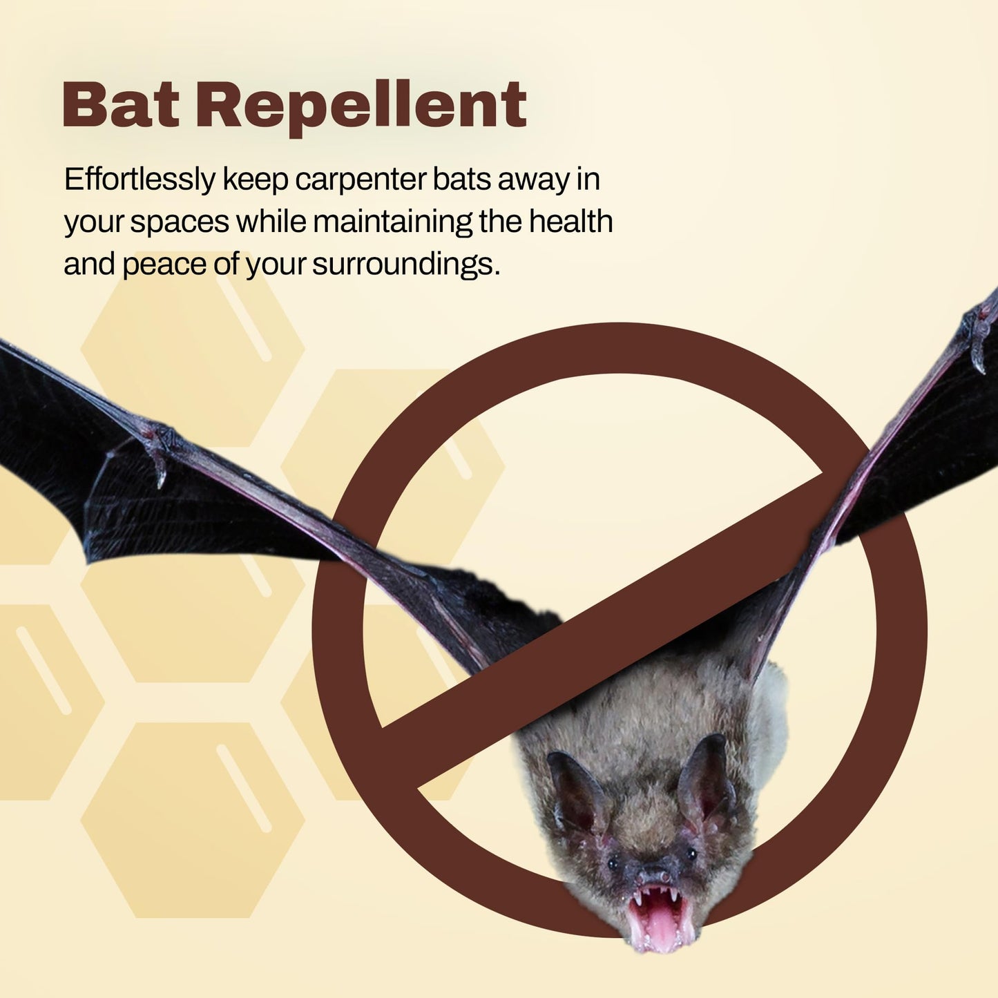 Donaldson Farms Bat Repellent Spray - Drive Bats Away from Nesting Using Our Bat Repellent - Keep Bats Away from Your Home, 16oz